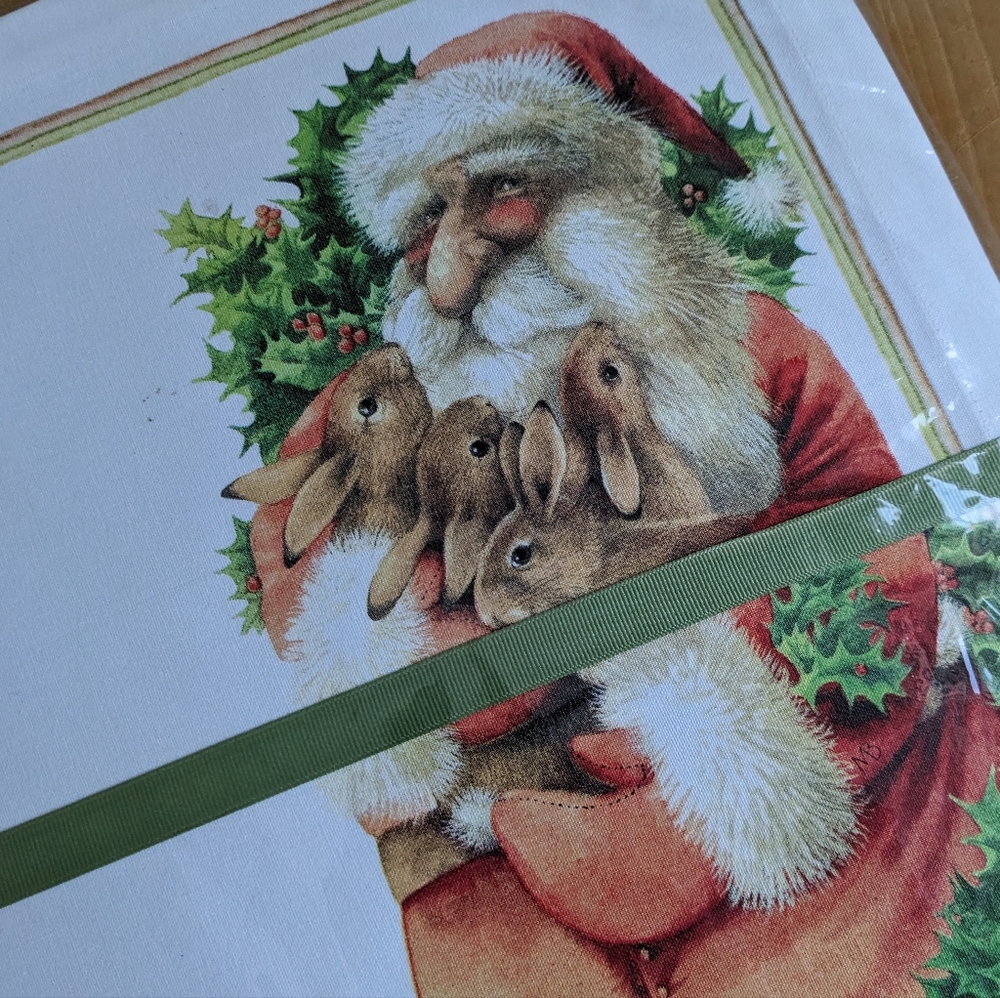 Christmas Bunny & Santa Placemats & Napkins